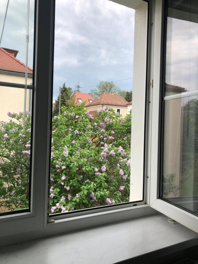 Wohlfuehloase Dresden Nickern Lejlighed Eksteriør billede