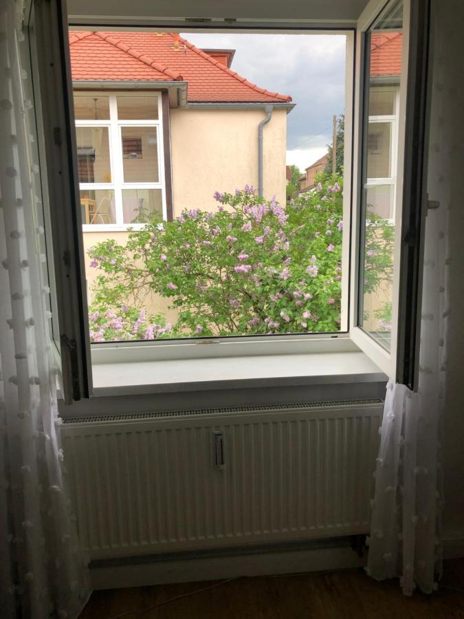 Wohlfuehloase Dresden Nickern Lejlighed Eksteriør billede